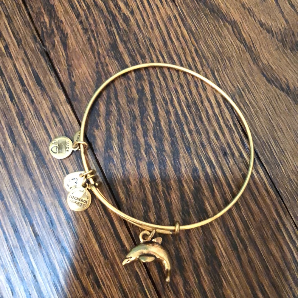 alex and ani gold bracelet w dolphin charm